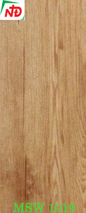 Sàn nhựa Galaxy vân gỗ mã MSW 1019